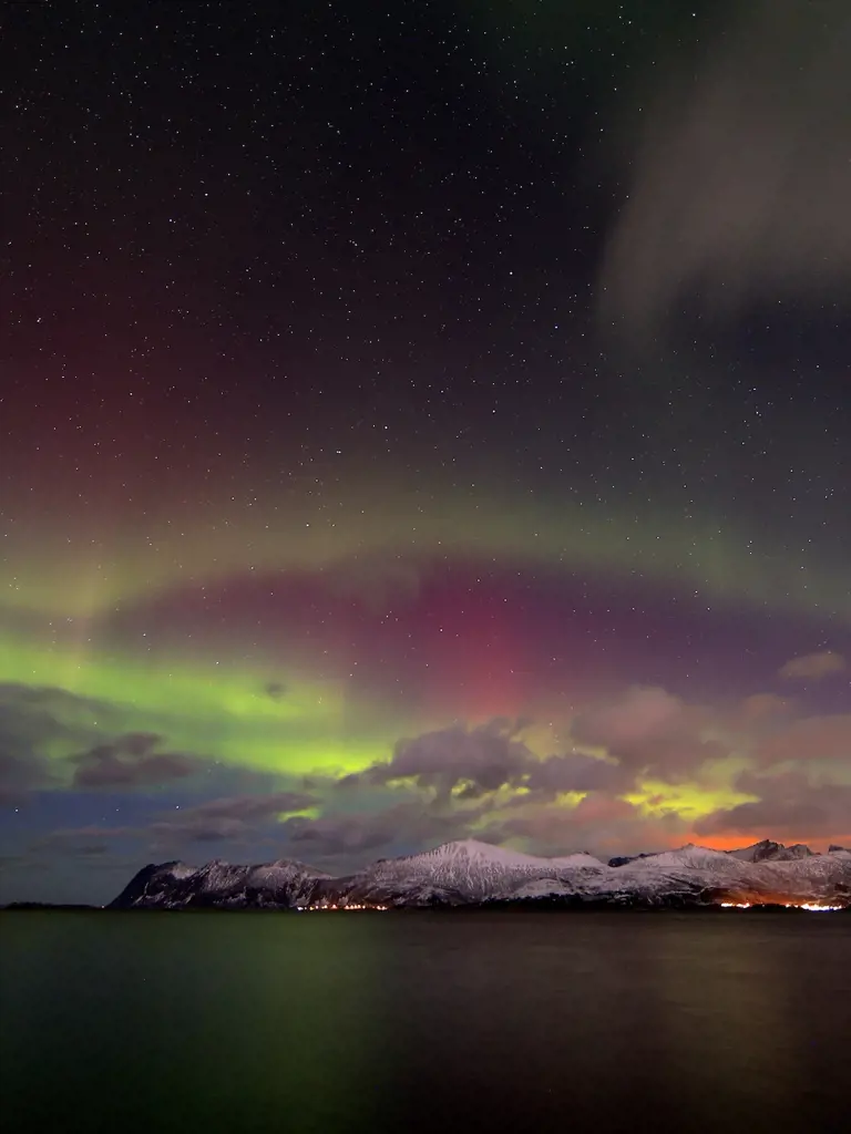 Orcas und Polarlichter in Norwegen auf kleinem Expeditionsschiff
